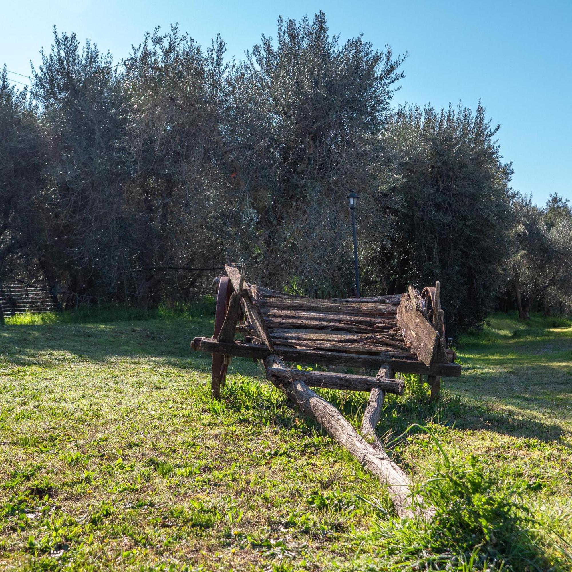 Agriturismo Pascianella Appartamento Bel Tramonto Castelmuzio Exterior photo